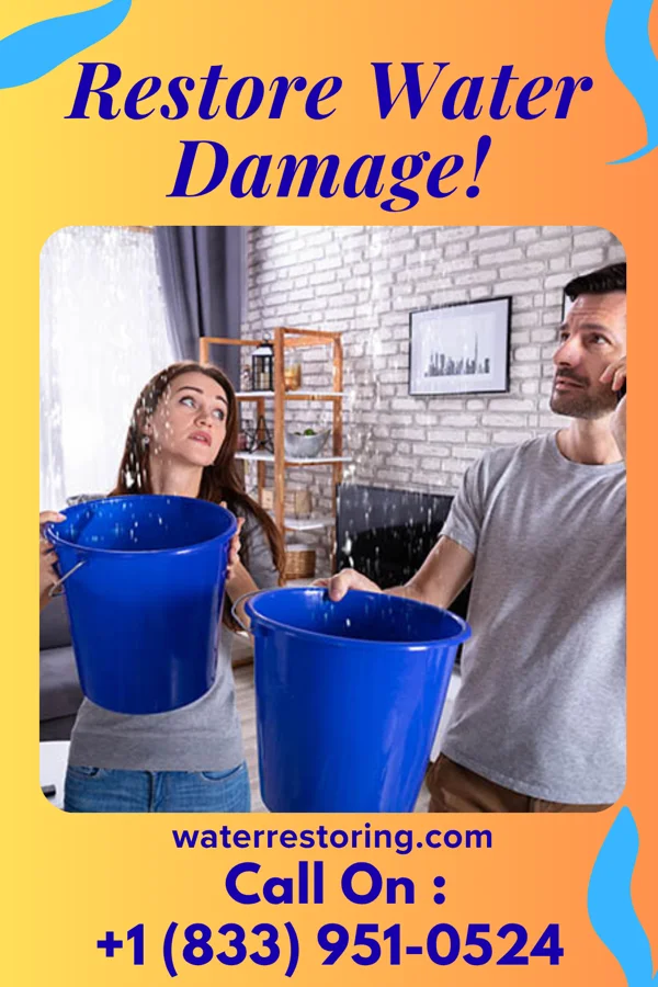 water restoration Peak Water Removal Specialists Kenmore