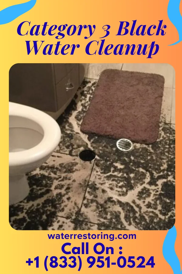 Category 3 Black Water Cleanup in Kenmore, NY