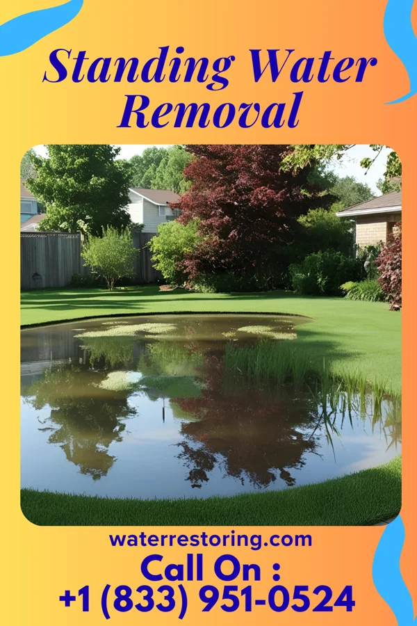 Standing Water Removal in Kenmore, NY
